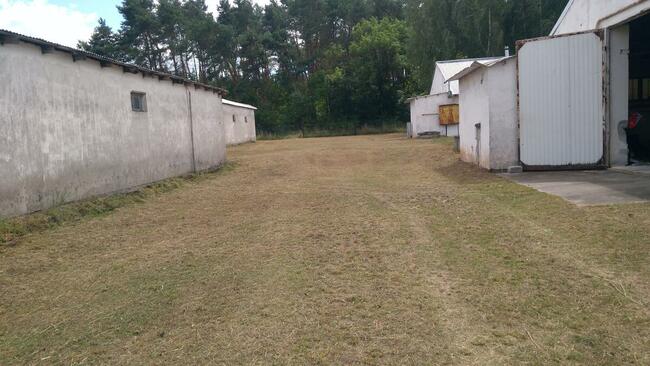 Sprzedam 4 hale +ziemia o łącznej pow. 7 Ha przy S-3