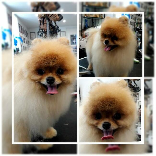 Zapraszamy Kąpiele Leczniczo -Ozonowe Salon Hau-Miał