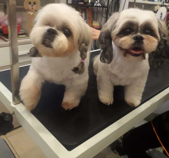 Zapraszamy Kąpiele Leczniczo -Ozonowe Salon Hau-Miał