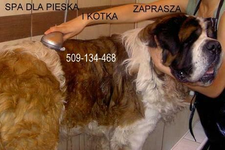 Zapraszamy Kąpiele Leczniczo -Ozonowe Salon Hau-Miał