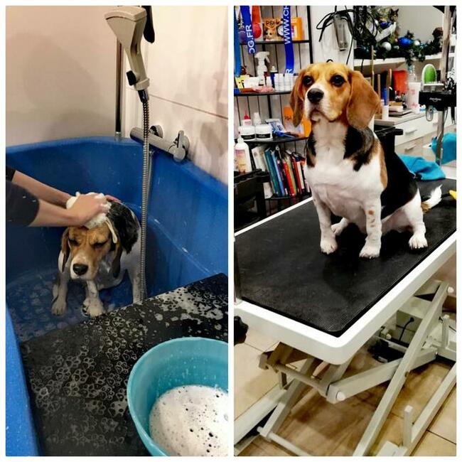 Zapraszamy Kąpiele Leczniczo -Ozonowe Salon Hau-Miał