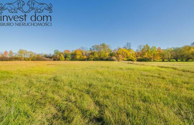 Działka budowlana w Pagorzynie, of. 1313