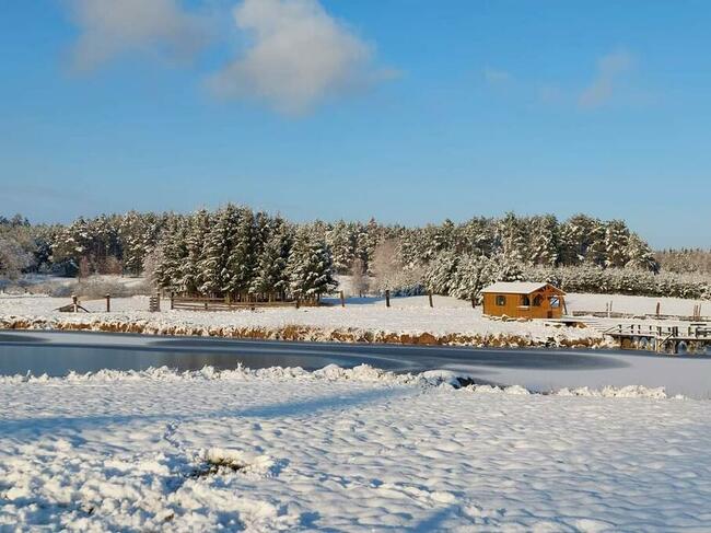 Domek wakacyjny w lesie sauna stawy