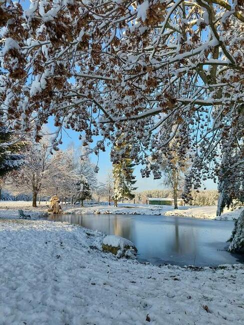 Domek wakacyjny w lesie sauna stawy