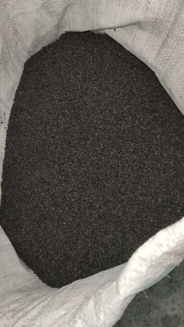 Cebula, nasiona cebuli Rijnsburger 5 - Robusta MK, 250 000 n