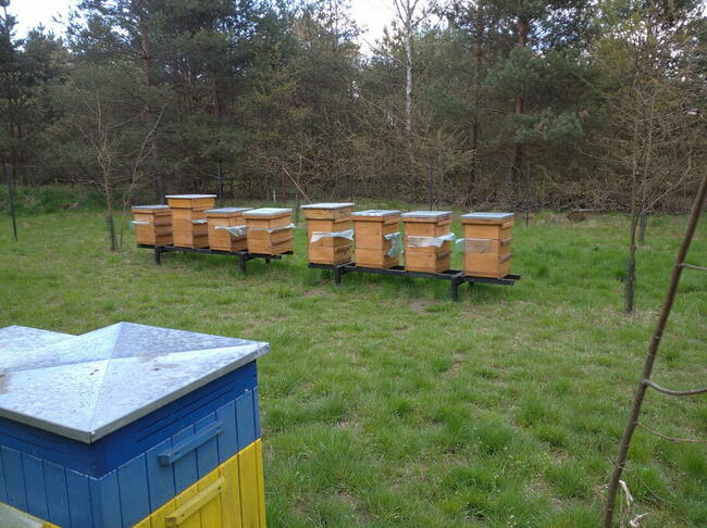 STYRODUR na ULE -bardzo twardy- 700kPa - SYNTHOS -kr. prosta