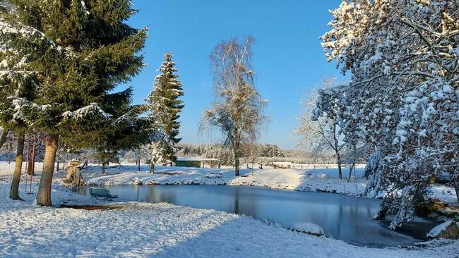 Domek wakacyjny w lesie sauna stawy