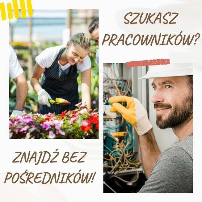 Szukam pracy zdalnej jako rekruter