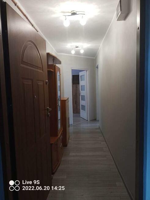 Wynajmę mieszkanie w Zabrzu