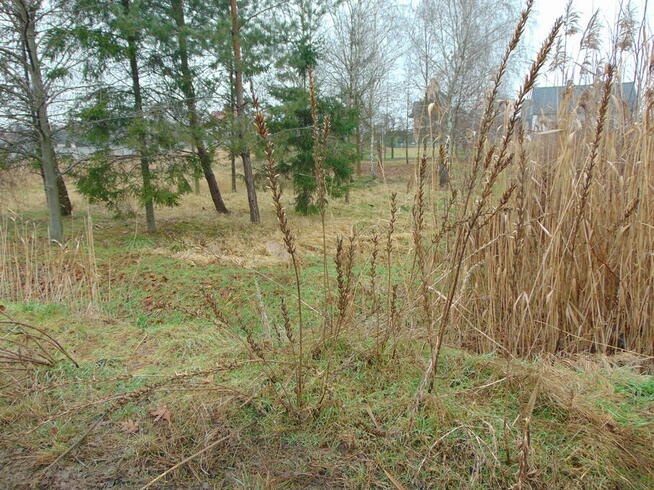 Działka budowlana 1298 m2 Kalisz-Chmielnik