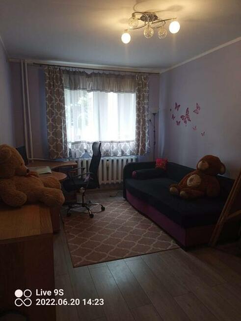 Wynajmę mieszkanie w Zabrzu