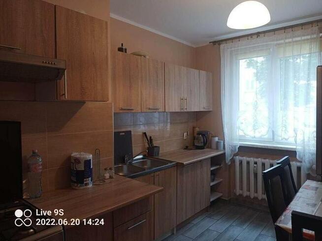 Wynajmę mieszkanie w Zabrzu