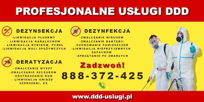 Deratyzacja, dezynfekcja, w Sanoku, Zwalczanie pluskiew