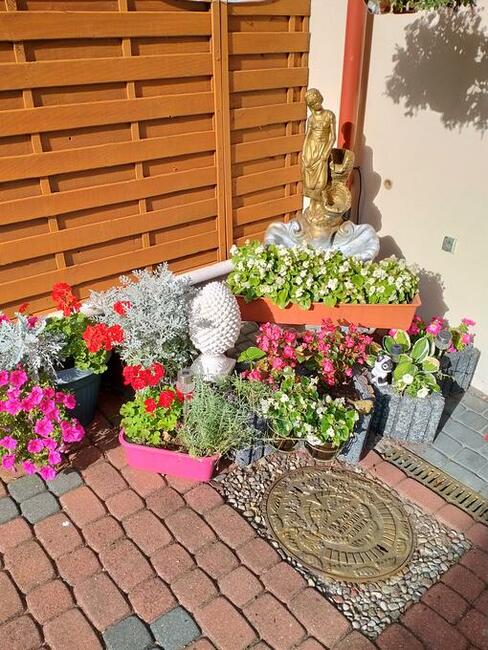 Wczasy-Weekend-Tanie Noclegi Władysławowo