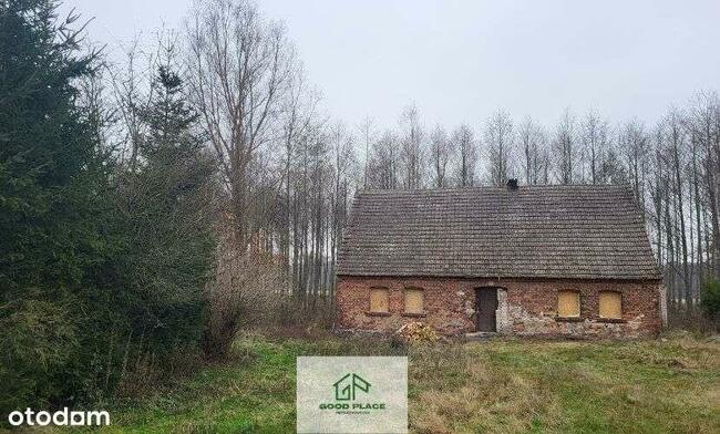 Leśniczówka bez sąsiadów, odludzie, Natura 2000