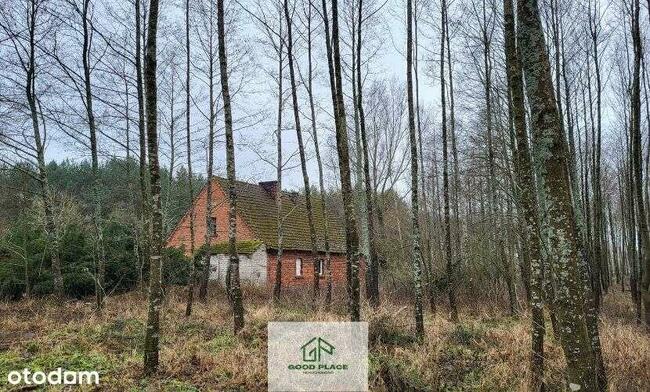Leśniczówka bez sąsiadów, odludzie, Natura 2000