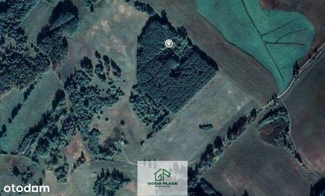 Leśniczówka bez sąsiadów, odludzie, Natura 2000