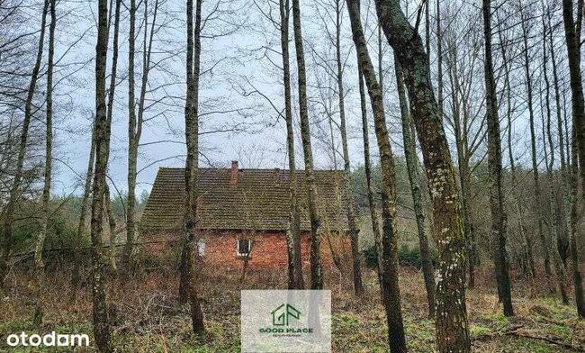 Leśniczówka bez sąsiadów, odludzie, Natura 2000