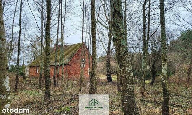 Leśniczówka bez sąsiadów, odludzie, Natura 2000