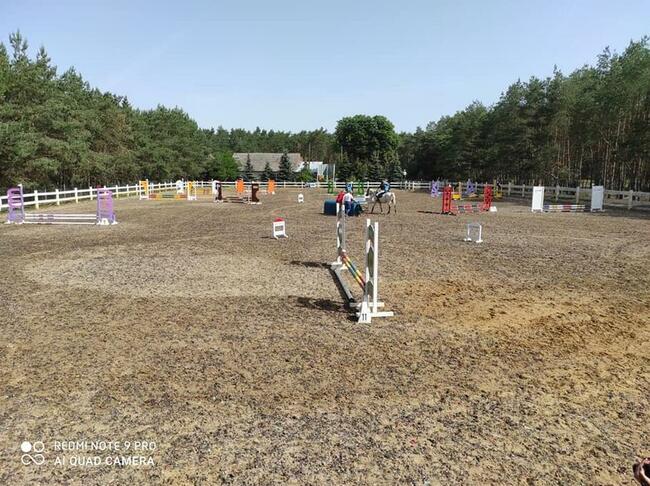 Obozy Jeździeckie ,obozy konne, wakacje w siodle 2026