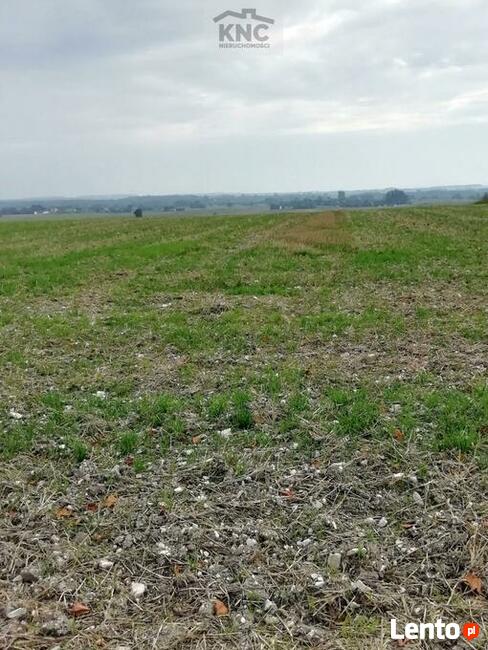 Działka inwestycyjna Chojno Nowe Pierwsze gm. Siedliszcze