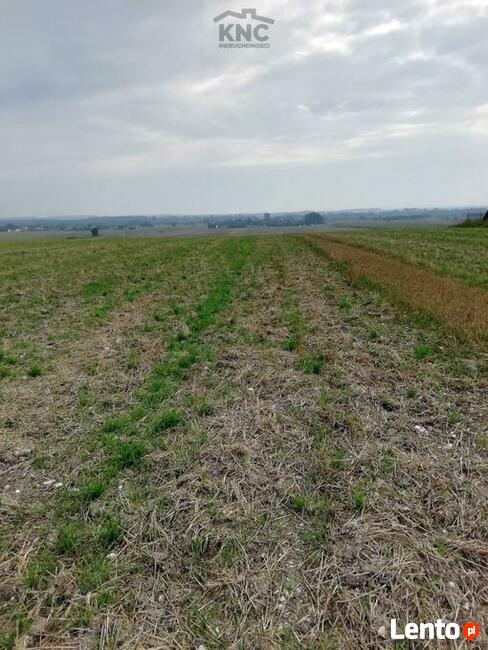 Działka inwestycyjna Chojno Nowe Pierwsze gm. Siedliszcze