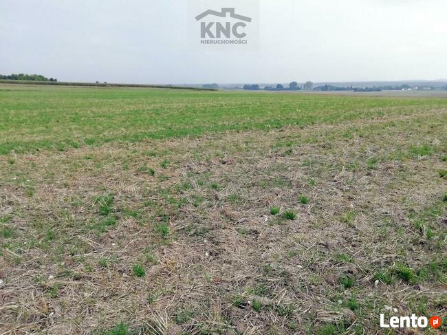 Działka inwestycyjna Chojno Nowe Pierwsze gm. Siedliszcze