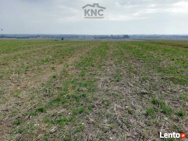 Działka inwestycyjna Chojno Nowe Pierwsze gm. Siedliszcze