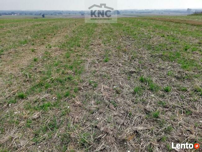 Działka inwestycyjna Chojno Nowe Pierwsze gm. Siedliszcze