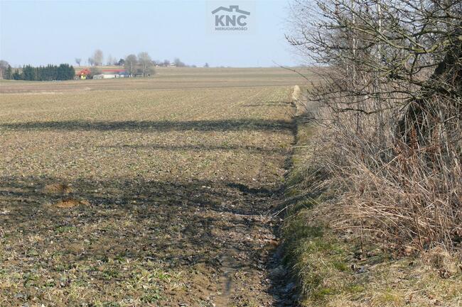 Działka budowlana Skrzynice Pierwsze gm. Jabłonna