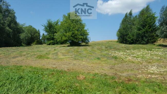 Działka rolno-budowlana Stasin gm. Konopnica