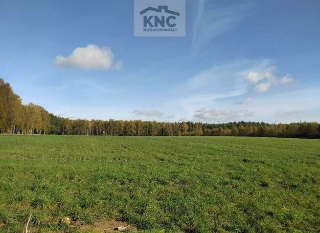 Działka rolno-budowlana Stasin gm. Konopnica