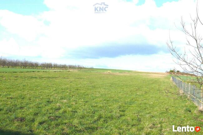 Działka rolno-budowlana Przytoczno gm. Jeziorzany