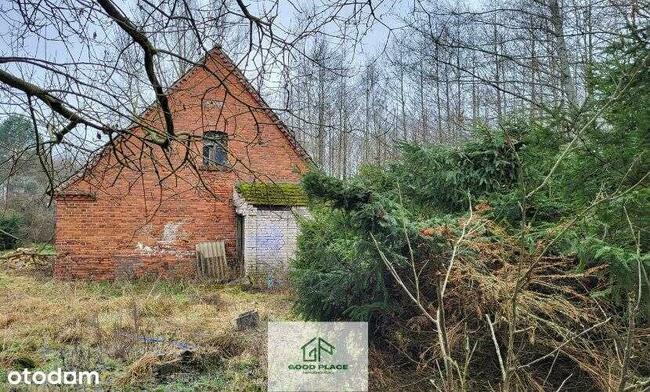 Leśniczówka bez sąsiadów, odludzie, Natura 2000