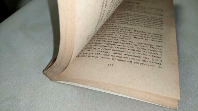 „Ordynat Michorowski” Helena Mniszek + GRATIS książka