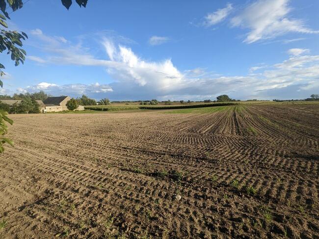 Działka budowlana 2000m Mieściska 138/8
