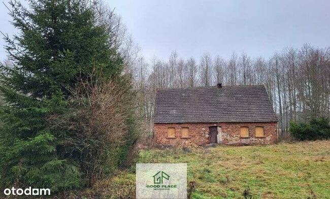 Leśniczówka bez sąsiadów, odludzie, Natura 2000
