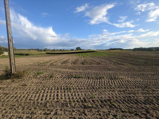 Działka budowlana 2000m Mieściska 138/8