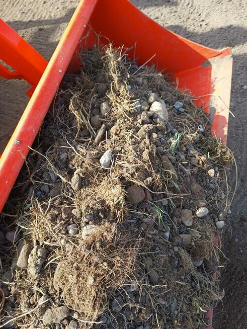 Glebogryzarka separacyjna usługi czyszczenie działek