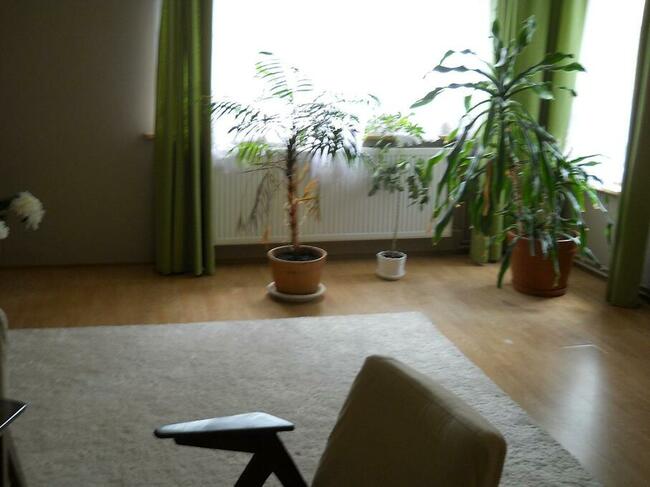 Dla rodziny, pod inwestycję, dzierżawa, wynajem.