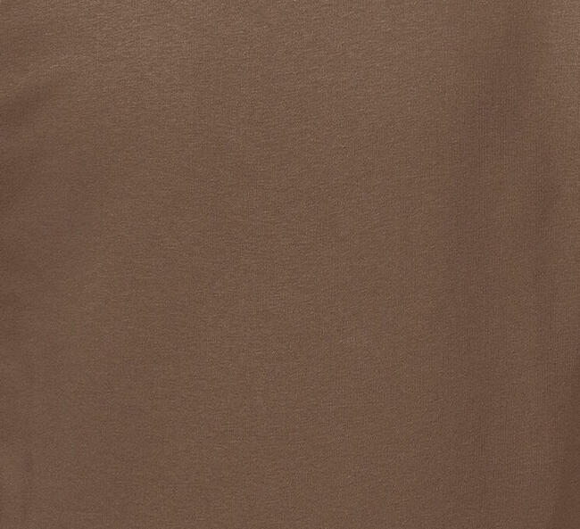 Bluza męska SET-IN kolor jasny brąz mocha RUSSELL