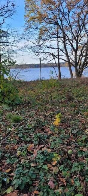 Sprzedam działkę budowlaną w Gudowie nad jez. Lubie