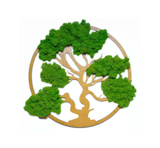 Drzewo Życia Szczęścia Bonsai Mech Chrobotek GrawAtka