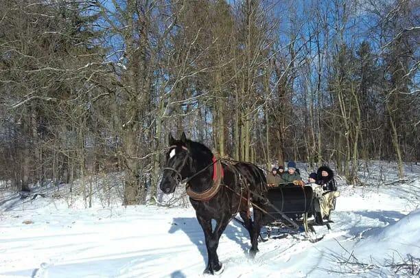 Kuligi Karpacz Sanie Sosnówka Bryczka Powóz