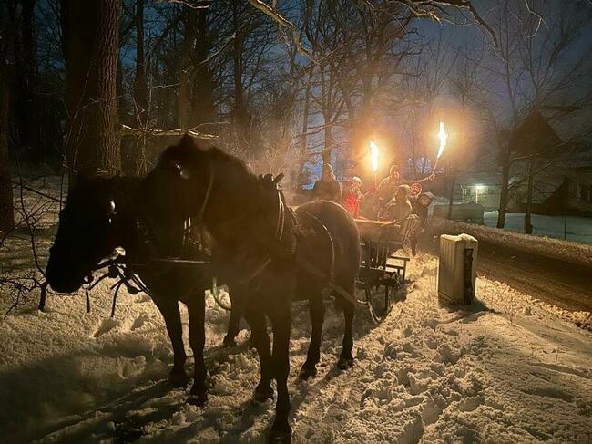 Kuligi Karpacz Sanie Sosnówka Bryczka Powóz