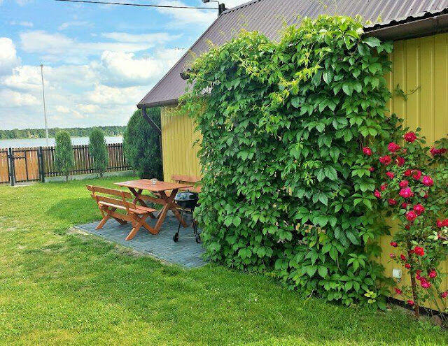 Domki letniskowe Jezioro Firlej