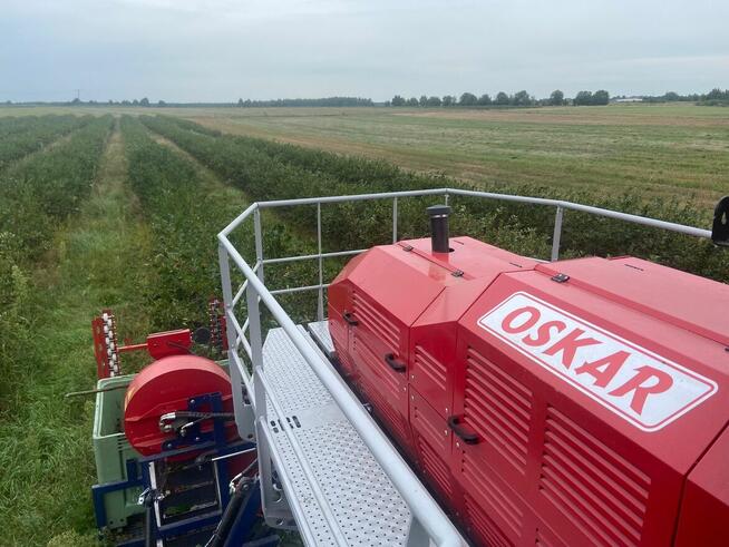 Kombajn samojezdny OSKAR 4WD zbiór owoców jagodowych