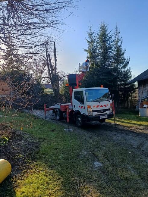 Mycie elewacji dachów oraz malowanie wycinka drzew.