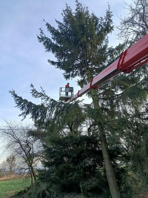 Mycie elewacji dachów oraz malowanie wycinka drzew.