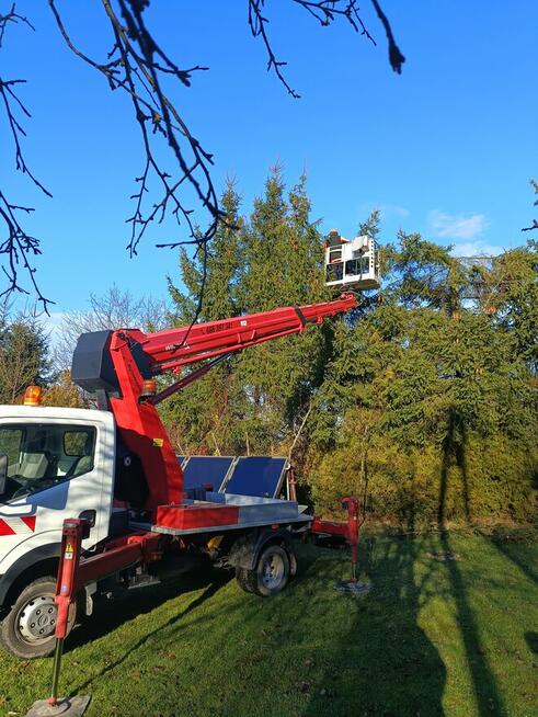 Mycie elewacji dachów oraz malowanie wycinka drzew.